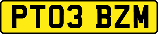 PT03BZM