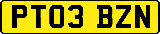 PT03BZN