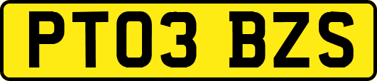 PT03BZS