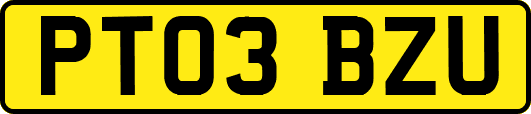 PT03BZU