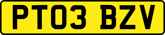 PT03BZV