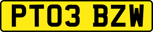 PT03BZW