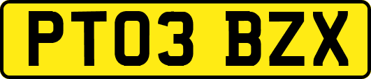 PT03BZX