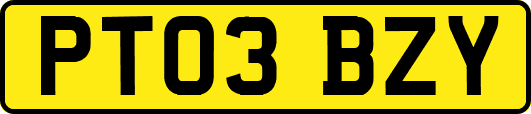 PT03BZY