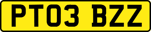PT03BZZ