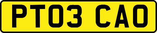 PT03CAO