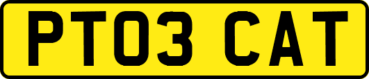 PT03CAT
