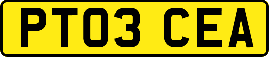 PT03CEA