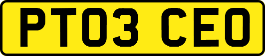 PT03CEO