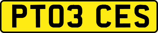 PT03CES