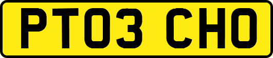 PT03CHO