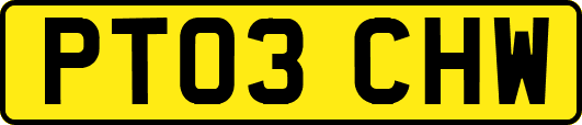 PT03CHW