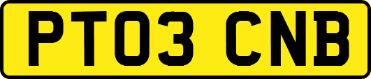 PT03CNB