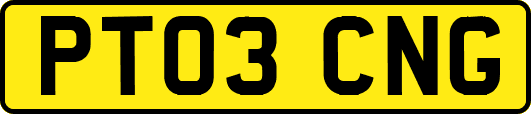 PT03CNG