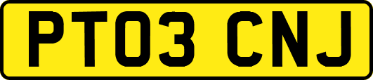 PT03CNJ