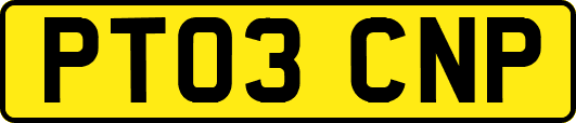 PT03CNP