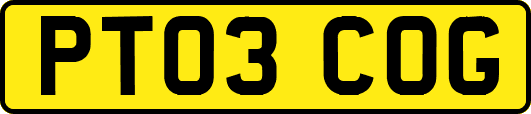 PT03COG