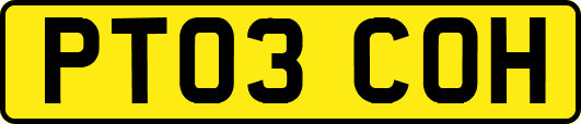 PT03COH
