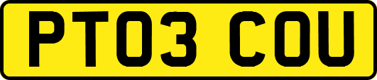 PT03COU