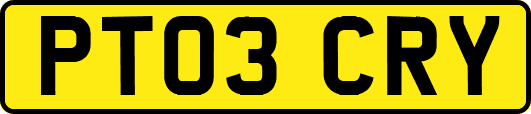 PT03CRY