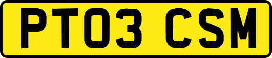 PT03CSM