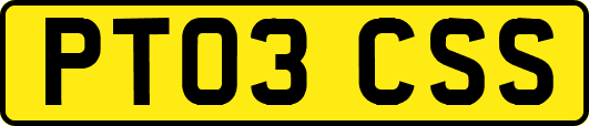 PT03CSS