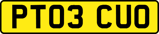 PT03CUO