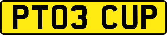 PT03CUP
