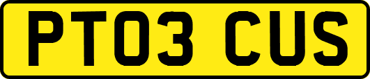 PT03CUS
