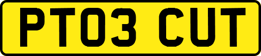 PT03CUT