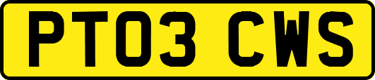 PT03CWS