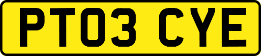 PT03CYE