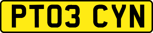 PT03CYN