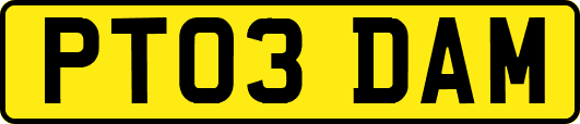 PT03DAM