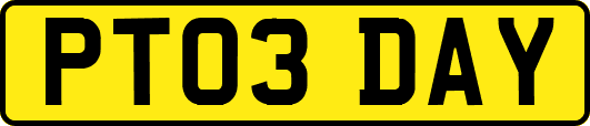 PT03DAY