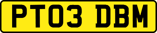 PT03DBM