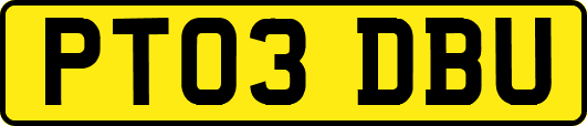PT03DBU