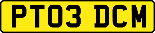 PT03DCM