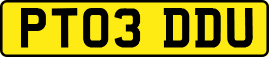 PT03DDU