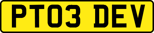 PT03DEV