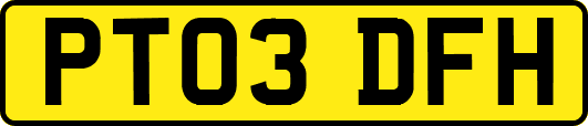 PT03DFH
