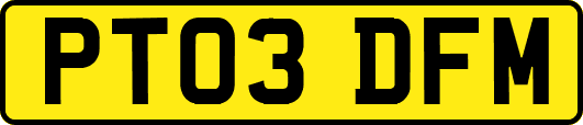 PT03DFM