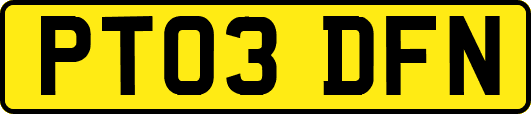 PT03DFN