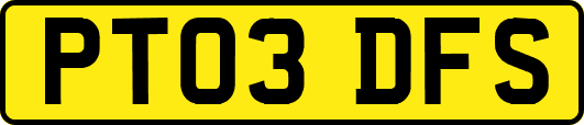 PT03DFS