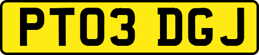 PT03DGJ