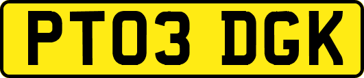PT03DGK