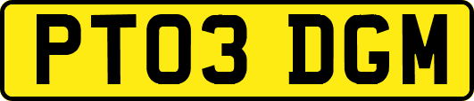 PT03DGM