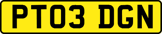 PT03DGN