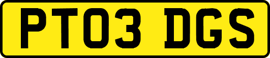 PT03DGS