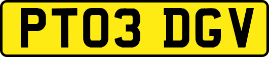 PT03DGV